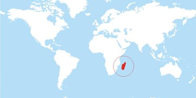 মানচিত্র মাদাগাস্কার এর অবস্থান বিশ্ব