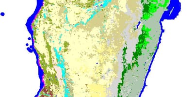 ম্যাপ অব মাদাগাস্কার গাছপালা