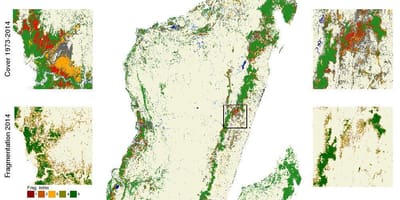 ম্যাপ অব মাদাগাস্কার বন উজাড়